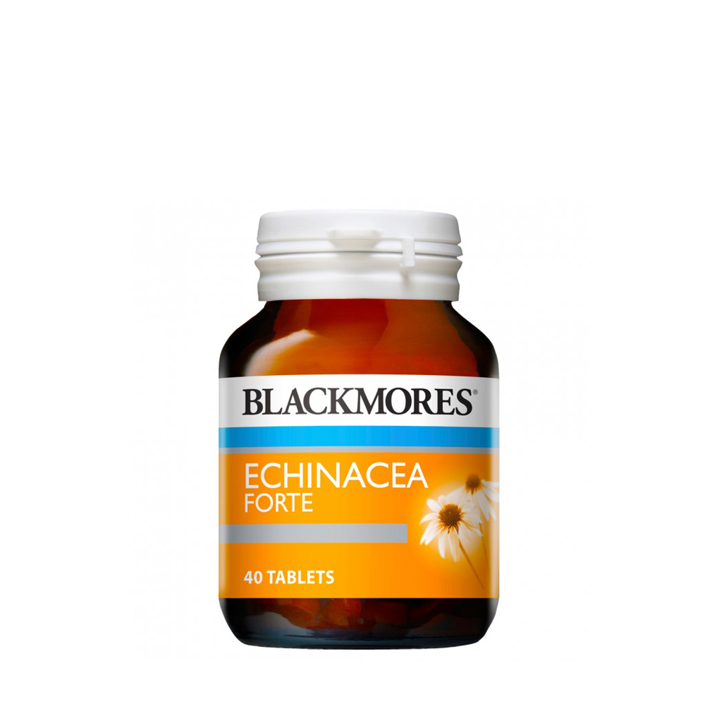 Blackmores Echinacea Forte 40 Tablets Chapman Wood